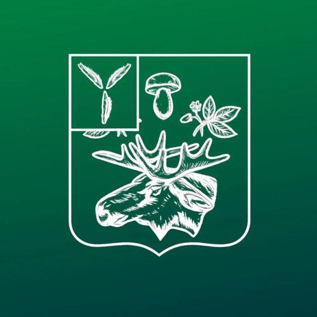 Базарно-Карабулакский район