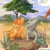 🦎𝙰𝚐𝚊𝚖𝚊𝚜 𝚂&𝚂🦎