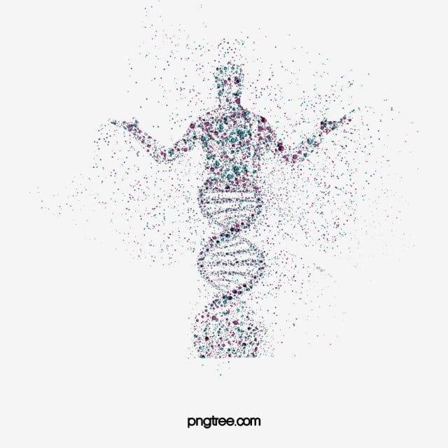 First stage||الوحده الاولى