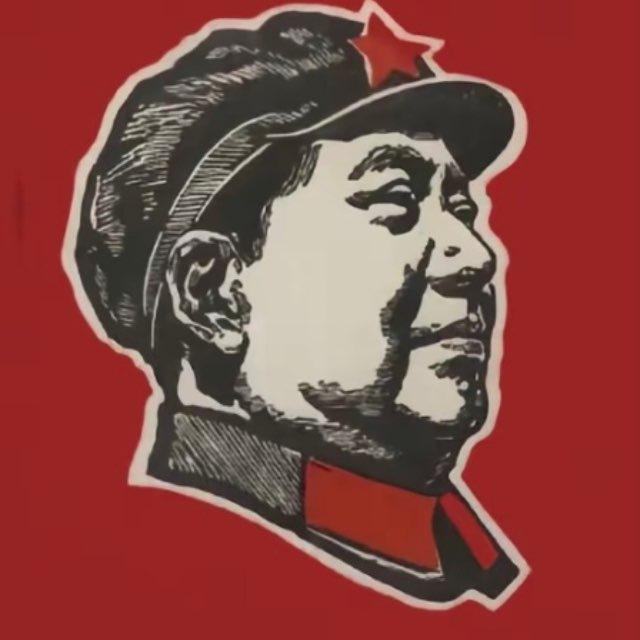 学习新思想，争做新青年