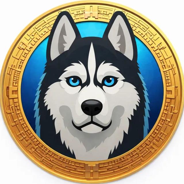 Hexydog Access Portal