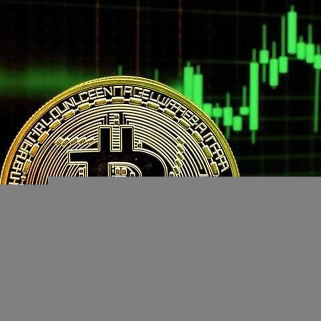 Daily News Tech