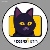 חתול פיננסי | כסף והשקעות