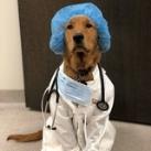 DVM 1403 share lessons