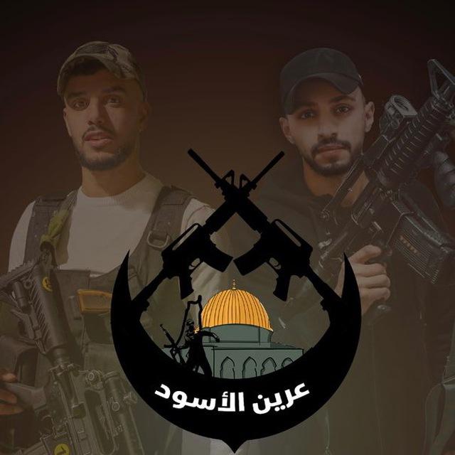 حالات عرين الأسود