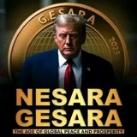 NESARA GESARA/ MILITARY MED BED TECHNOLOGY
