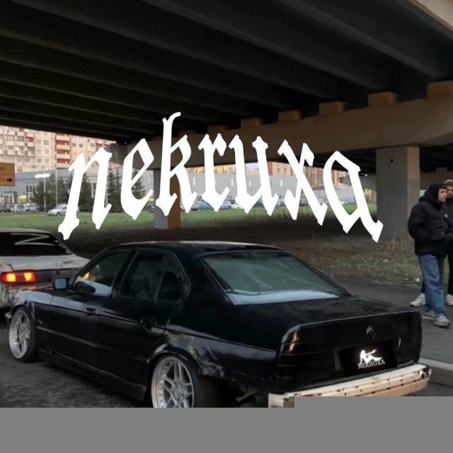 nekruxi ebashat | и.🎀
