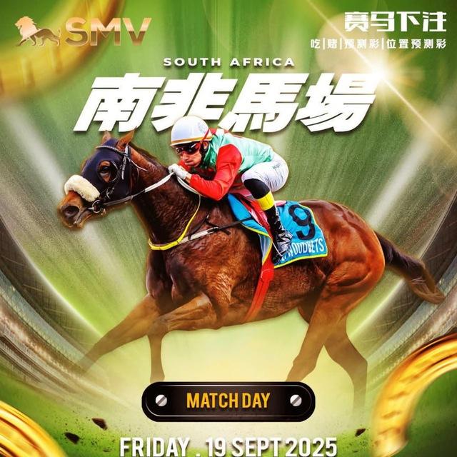 SA HORSE LIVE