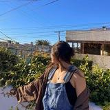 Exclusive Burma Local