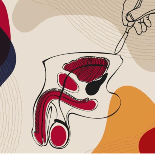 Andrology and reconstructive urology