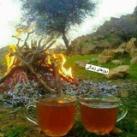 روزهای زندگی