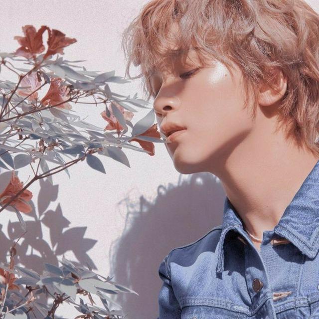 stiker haechan