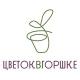 cvetok_v_gorshke_shop