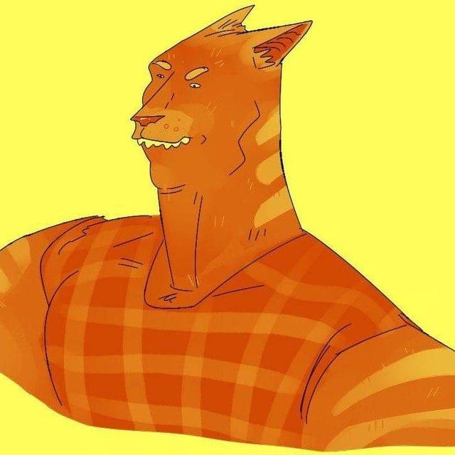 CATGUY portal CTO