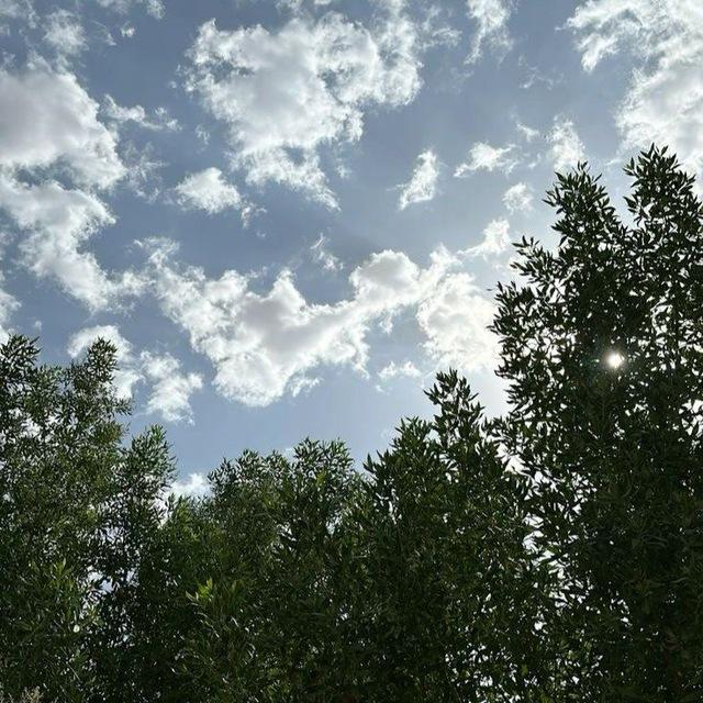 زَهراء