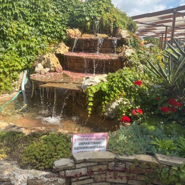 ДАРОВ