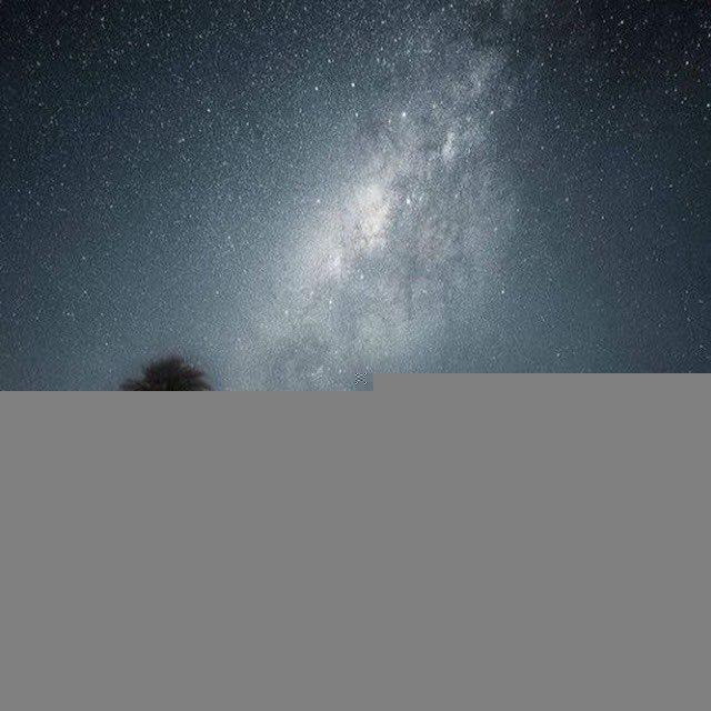 حادي العِيس
