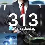 313