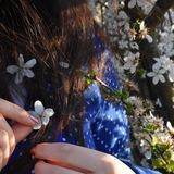 خرده جنایت های یک دانشجو