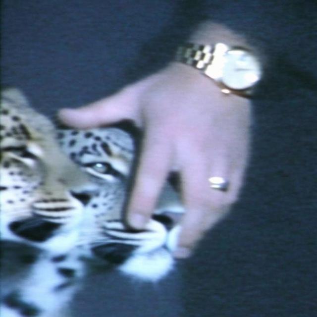 ♕.йв