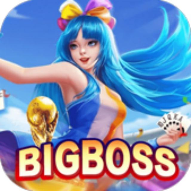 bigboss2538