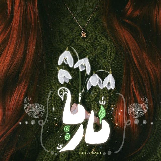 「 نــآریـ🌱ــآ 」