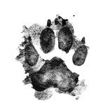 COPYPAWSTA🐾