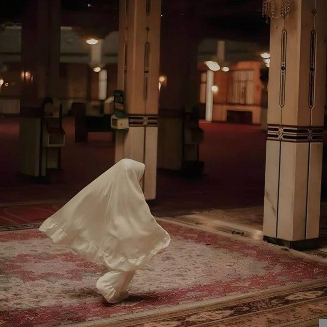 سِيلاا .