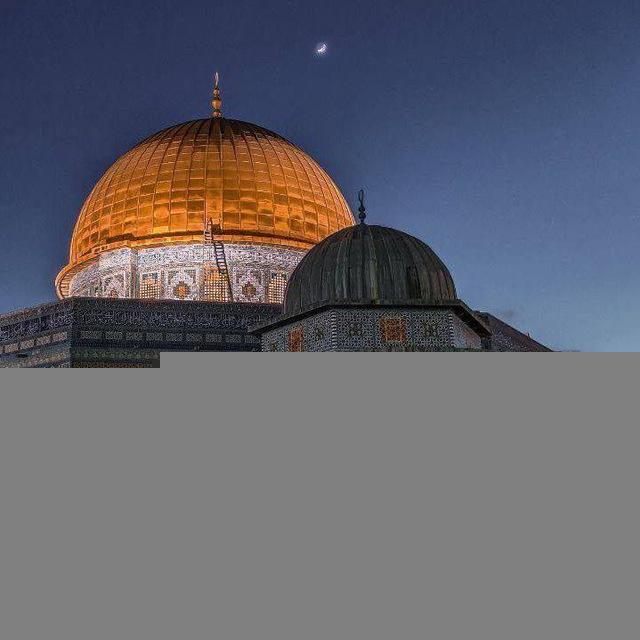 سُـنْـدُس