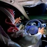 هواجيس فريد