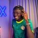 EXPÉRIENCE PRO 🇨🇲🇸🇳🇨🇮