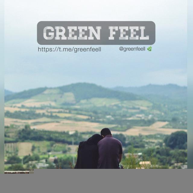 Green Feel 🌿