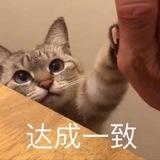 时光预言机社区
