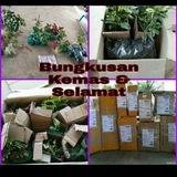 Jual Tumbuhan Herba Dan Tumbuhan Bunga Dan Buah Hybrid 🌱