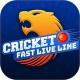 IPL CRICKET LIVE SCORE LINE