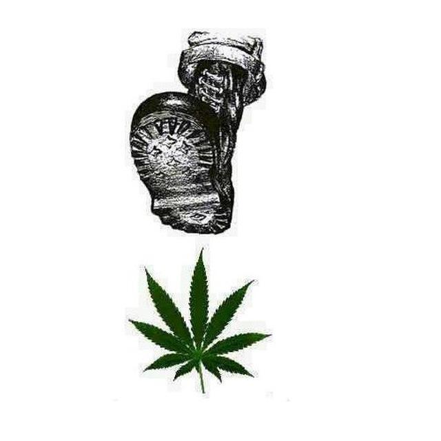🗑 Drogadictos ❌🚬
