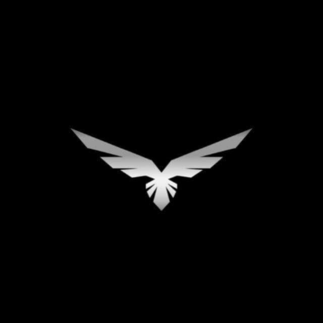 Eagle Shot Football Analysis