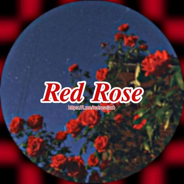 𝑹𝒆𝒅 𝑹𝒐𝒔𝒆♥️