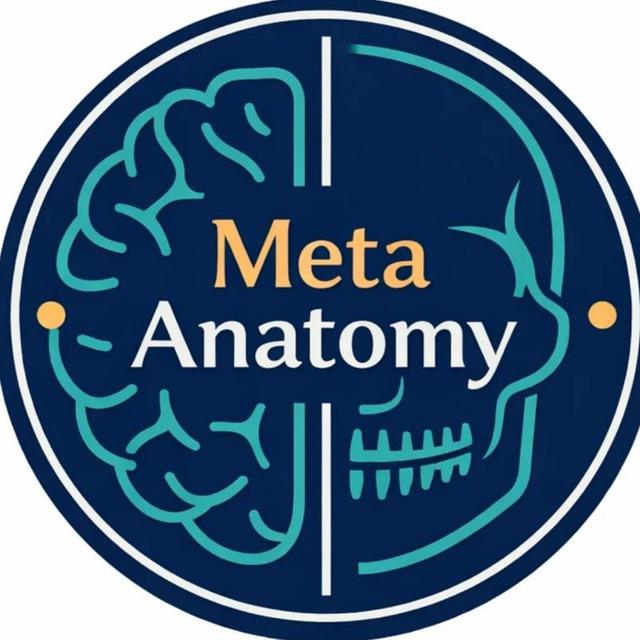 علوم پایه پزشکی | Meta Anatomy🩺