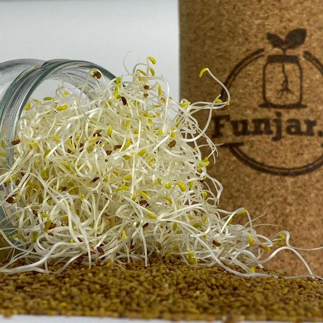 🌱 Funjar.nl / Bewust consumeren