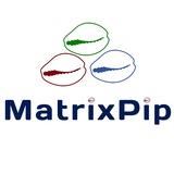 MATRIXPIP FX 💰