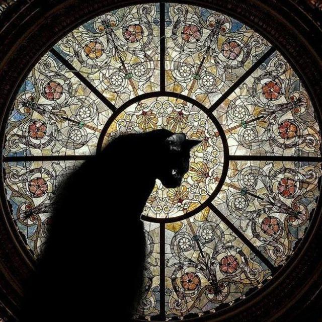Kirche, Katzen, Kinder
