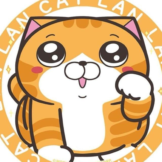 TW🇹🇼小時光（貓七生活頻道）