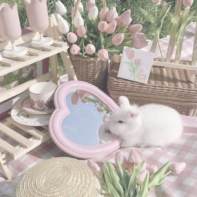 ⋆.𐙚˚࿔AESTHETIC PICTURES𝜗𝜚˚⋆