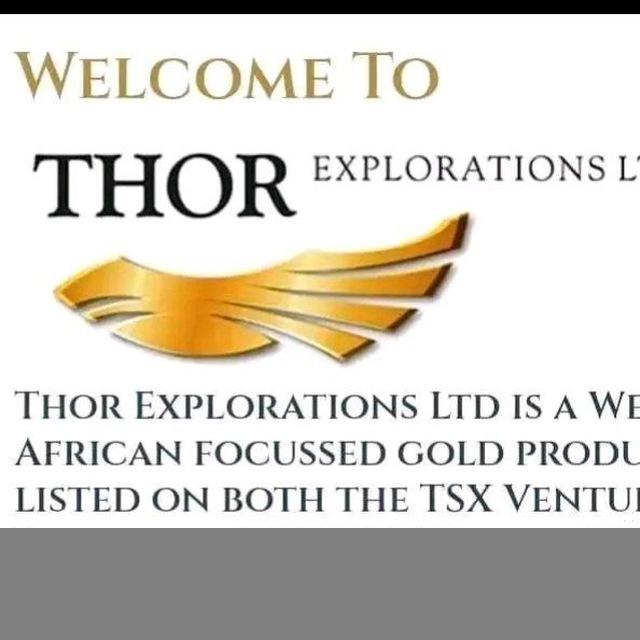 Thor Investors