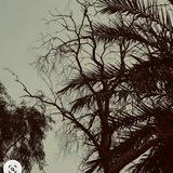 لـِ دَمِيـرال ؟