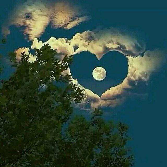 🩵أطيـٰـــٰــاف الــــــعمر 🤍