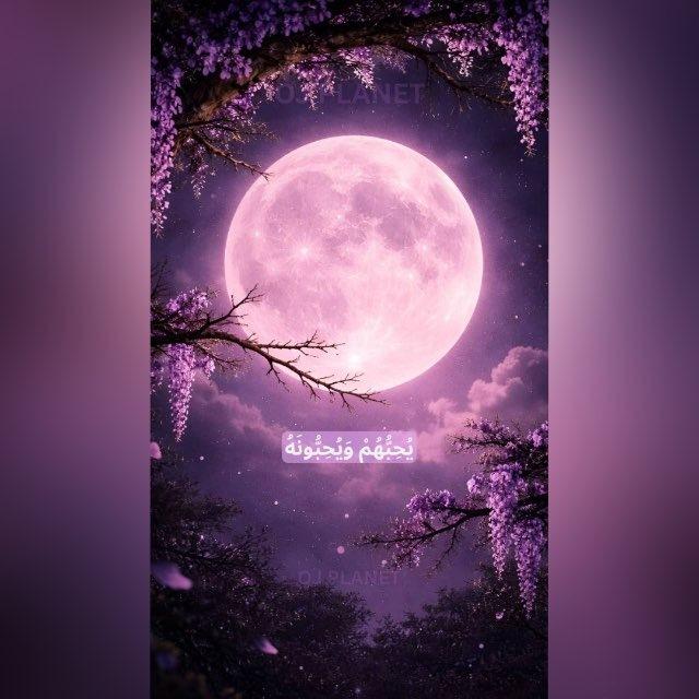 ✨إســأَل صــٓـح✨