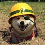 𝙈𝘼𝙅𝙄𝙈𝘼 𝘾𝙊𝙉𝙎𝙏𝙍𝙐𝘾𝙏𝙄𝙊𝙉 𝙊𝙁𝙁𝙄𝘾𝙀👷🏻‍♂️🈺