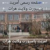 آمریت پاسپورت ولایت هرات